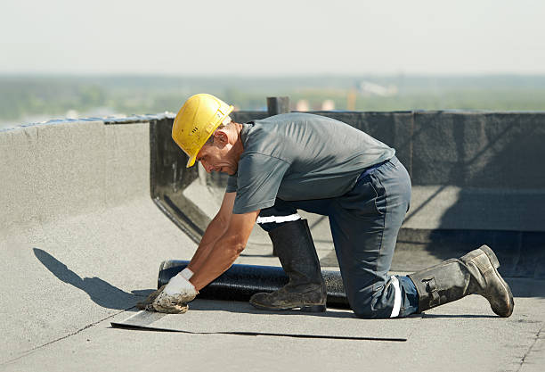 Best Energy Efficiency Solutions in West Miami, FL