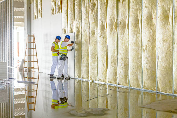 Best Types of Insulation in West Miami, FL